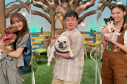 百田夏菜子出演『どうぶつピース』実況まとめ！｢ピーちゃん地上波出演おめでとう」｢ピーちゃん、おりこう」｢ワンちゃん抱いてる夏菜子ちゃんがかわいい」