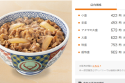 牛丼1杯300円で食えたもんが500円以上もしたら高いって思うよな？