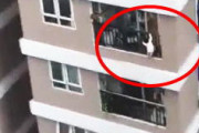 マンション12階から2歳の少女が落下するショッキングな映像。