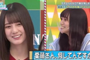 【日向坂46】こさかな×愛萌さん、これは危険な組み合わせw