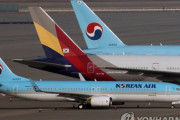 韓国経済危機、大韓航空とアシアナが合併へ。韓国人「これも共産化の一歩か・・・」【韓国の反応】