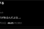 【ホロライブ】団長は何を言ってるんだ…