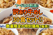 松屋 牛めし30食の訳あり詰合せが5999円送料無料！なんと1食あたり約200円！