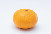 【画像】愛媛土産で貰ったリアルすぎるみかんのボールペン立てｗｗｗｗｗｗｗｗｗｗｗｗｗｗｗｗ