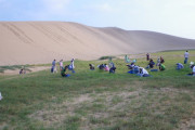 鳥取砂丘、コロナで除草ボランティアが激減しどんどん青々しくなってしまう