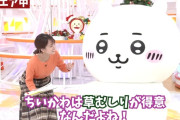 女子アナ「ちいかわは草むしりが得意なんだよね！」