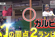 広島ソフトバンク戦の誤審ホームランｗｗｗｙｗ