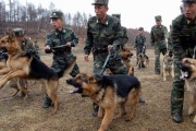 北朝鮮では犬は食品に過ぎない…愛犬の「処分命令」に泣き暮れる女性たち！