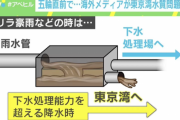 【閲覧注意】東京オリンピック開催前から問題になっていた東京湾糞便問題、解決できずにヤバい色がトライアスロンで世界中に放送されてしまう
