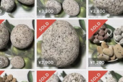 【悲報】メルカリでコロナ対策として川原の石が出品される、そして売れてしまう…