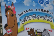 競走馬「ハートヲワシヅカミ」、川崎競馬に出走