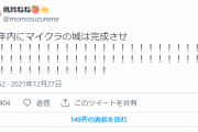 【年内…？】ねねち「年内にマイクラの城は完成させる！」