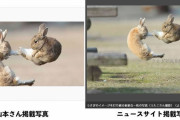 「うちの写真が勝手に使用されていてショック」極楽とんぼ山本圭壱、うさぎ写真をインスタに無断利用で炎上