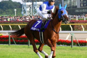【朗報】ダイワスカーレット、ついに牡馬を産み落とす