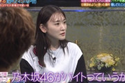 【特大悲報】生駒里奈「乃木坂46がバイト」