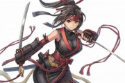 「女戦士」、「女騎士」、「女盗賊」、「女海賊」、「女格闘家」、「女忍者」←好きなの選べ