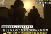 去年の技能実習生の行方不明数９０００人うち６０００人がベトナム人
