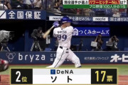 現役選手100人が選ぶパワーヒッター部門　DeNAソトが2位にランクイン！