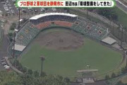 【朗報】静岡にプロ野球の新球団誕生の可能性