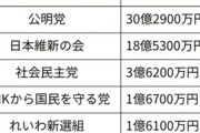 【野党再編】国民民主党・小沢一郎「立憲民主党、国民民主党の合流は理性で判断を」→理性あったら合流なんてしないわｗｗｗ