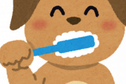 【朗報】歯を磨かなくても虫歯にならない