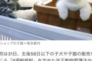 小泉進次郎「犬や猫の遺棄を防ぐためにマイクロチップの義務化2022年6月から」 |  あまり、好きな方法ではないけど、