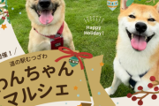 【愛犬家必見！】道の駅むつざわでの「わんちゃんマルシェ」とは？