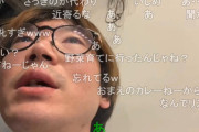 【動画】人気配信者さん、配信中によそ見して交通事故wwwwwwwwww