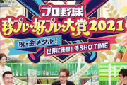 今年の珍プレー大賞ｗｗｗｗｗｗｗｗ