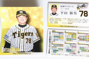 阪神タイガースのファーム施設が移転するらしい