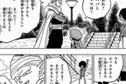 【ドラゴンボール】ピッコロさん、いい人すぎる