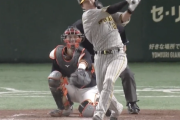 阪神・渡邉諒が移籍後初HRなど攻守で躍動し本日のヒロイン！！！