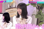 日向坂46金村美玖、細かい芸であの世界的アーティストを唸らせてしまう・・・【あざとくて何が悪いの？】