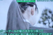 【在日悲報】在日女性「髪の毛を引っ張られ、朝鮮人のクセに先に乗るなと怒鳴られた…！」