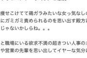 めいろま「蓮舫がだめなところはあの女の嫌な部分を凝縮したようなヒステリーな叫び声と態度」