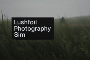 オープンワールド型フォトグラフィシミュレーションゲーム『Lushfoil Photography Sim』が4/15 リリース！ リアルな世界を散策し完璧な一枚を撮影しよう
