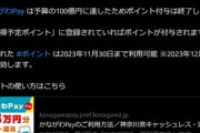 かながわPayの最大20%還元キャンペーン､予算上限に達して終了