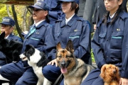 小型犬の警察犬カッコよすぎワロタ