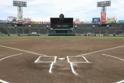 酷暑でも甲子園で野球やりたいか？甲子園球児に聞いた結果