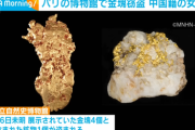 【国際】中国人女性、パリ自然史博物館で金塊約2億6000万円相当を盗み拘束される