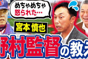 でもノムさんが監督だったときの阪神はやばすぎたよね(´･ω･`)