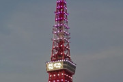 ついに東京タワーが紫色に点灯！！！点灯式には乃木坂メンバーの姿も！！！