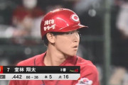 三大プロ野球なんだったのか大賞、4割打者堂林、プリンセスフォーム若月、あとひとつは？