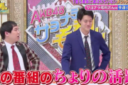 【AKB48】霜降り明星せいやが中西智代梨を大絶賛「ちよりの番組の活躍は目まぐるしかった」
