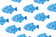 【問題】ひっくりかえるとカッチカチになる魚ってなーんだ？