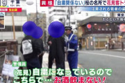 【悲報】 花見客「花見は必要至急な要件」