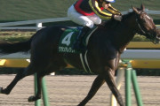 【競馬】グランアレグリア藤沢「天皇賞秋で2000mに再挑戦します」