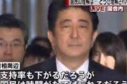 安倍「すまん、少子高齢化加速で2040年には年金制度崩壊するかも。移民入れても間に合わんかも」 ★３