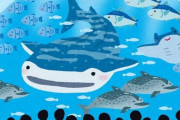 クイズ、ここどこの水族館