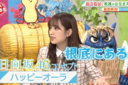 日向坂46、名前の由来にとんでもない歴史的な意味が隠されていた事が判明！【日本人のおなまえ】
